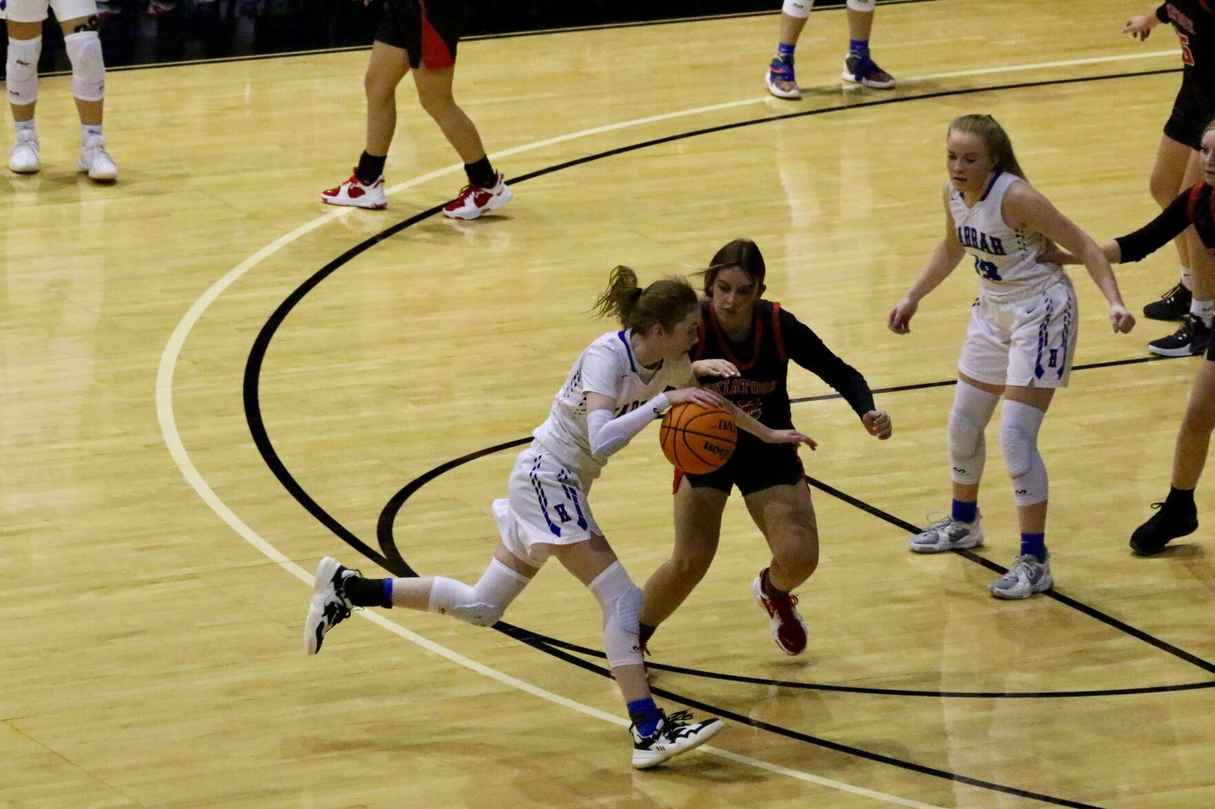 Lady Dawgs vs. Harrah12.jpeg